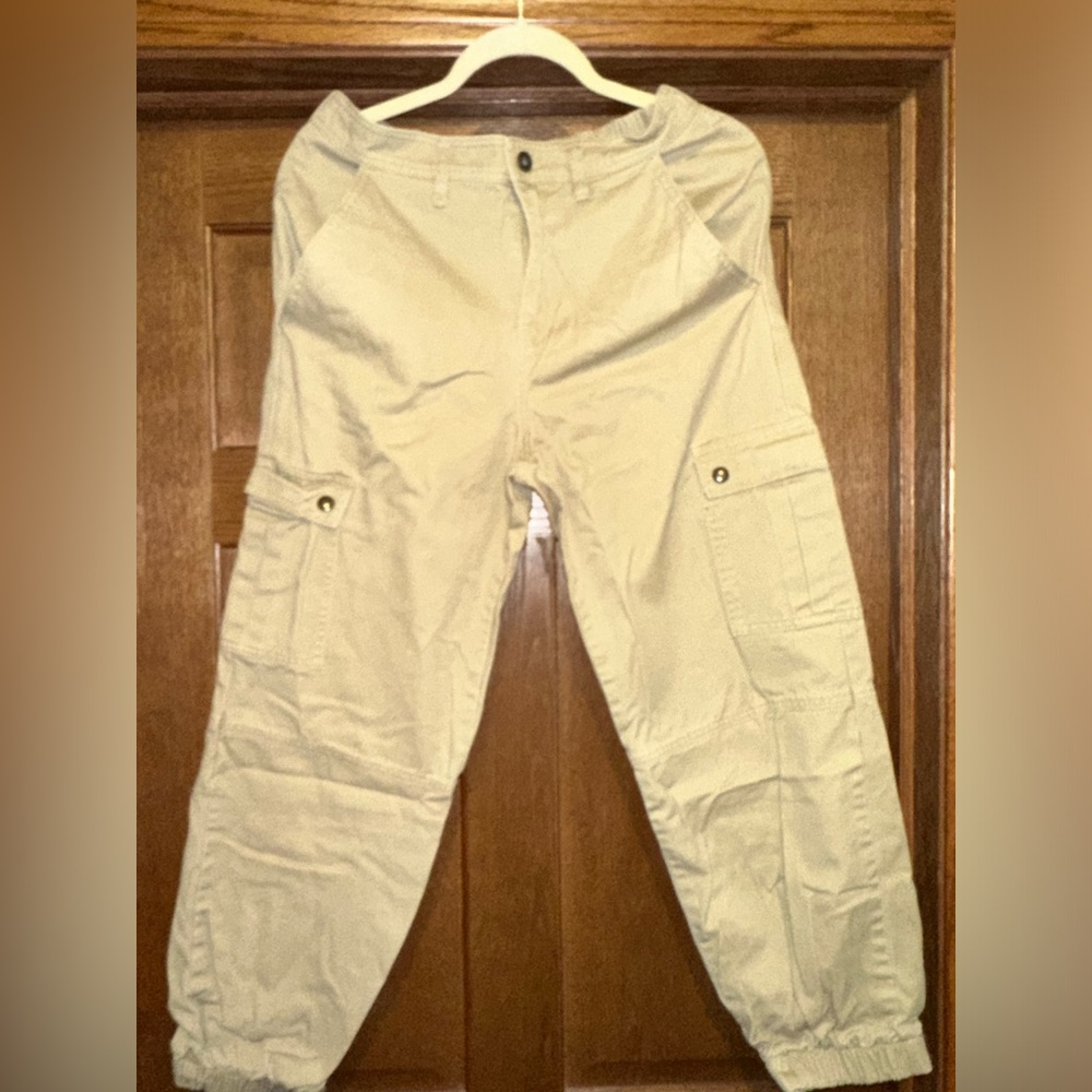 Wild fable cargo pants